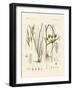 Strange Grasses-null-Framed Giclee Print