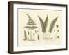 Strange Grasses-null-Framed Giclee Print