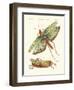 Strange Insects-null-Framed Giclee Print