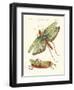 Strange Insects-null-Framed Giclee Print