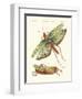 Strange Insects-null-Framed Giclee Print