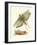 Strange Insects-null-Framed Giclee Print