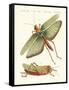 Strange Insects-null-Framed Stretched Canvas