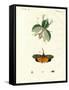 Strange Insects-null-Framed Stretched Canvas