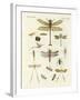 Strange Insects-null-Framed Giclee Print