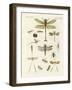 Strange Insects-null-Framed Giclee Print