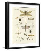 Strange Insects-null-Framed Giclee Print