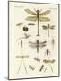 Strange Insects-null-Mounted Giclee Print