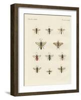 Strange Insects-null-Framed Giclee Print