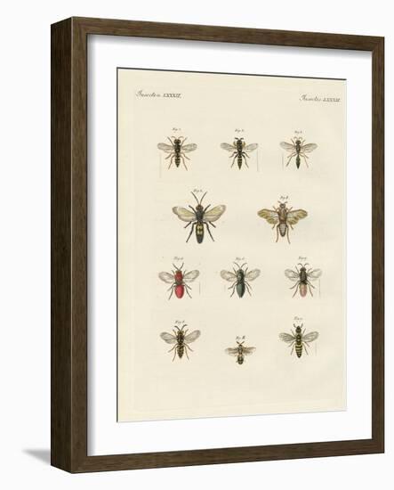 Strange Insects-null-Framed Giclee Print