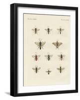 Strange Insects-null-Framed Giclee Print