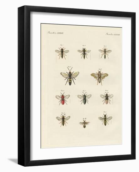 Strange Insects-null-Framed Giclee Print