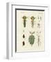 Strange Insects-null-Framed Giclee Print