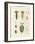 Strange Insects-null-Framed Giclee Print