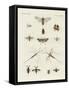 Strange Insects-null-Framed Stretched Canvas