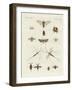 Strange Insects-null-Framed Giclee Print