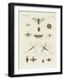 Strange Insects-null-Framed Giclee Print