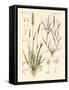 Strange Kinds of Herbage-null-Framed Stretched Canvas