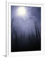 Strange Light Over Dead Trees, Colorado-Michael Brown-Framed Premium Photographic Print