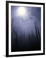 Strange Light Over Dead Trees, Colorado-Michael Brown-Framed Premium Photographic Print