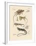 Strange Lizards-null-Framed Giclee Print