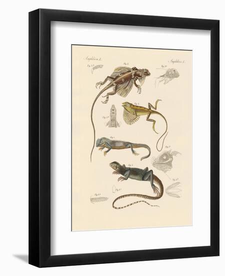 Strange Lizards-null-Framed Premium Giclee Print