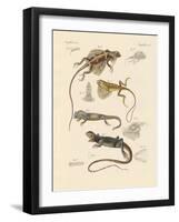 Strange Lizards-null-Framed Giclee Print