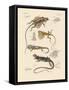 Strange Lizards-null-Framed Stretched Canvas
