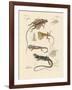 Strange Lizards-null-Framed Giclee Print