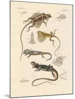 Strange Lizards-null-Mounted Giclee Print