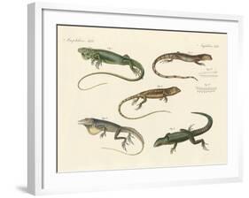 Strange Lizards-null-Framed Giclee Print