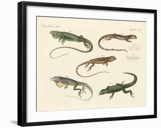 Strange Lizards-null-Framed Giclee Print