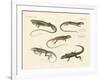 Strange Lizards-null-Framed Giclee Print