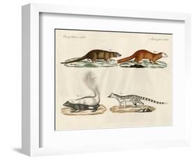 Strange Mammals-null-Framed Giclee Print