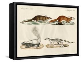 Strange Mammals-null-Framed Stretched Canvas