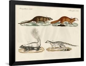 Strange Mammals-null-Framed Giclee Print