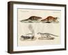 Strange Mammals-null-Framed Giclee Print