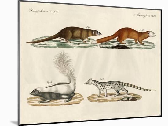 Strange Mammals-null-Mounted Giclee Print