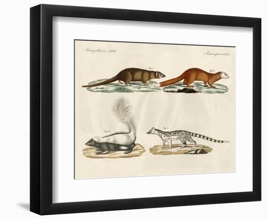 Strange Mammals-null-Framed Premium Giclee Print