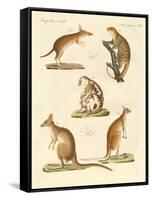 Strange Marsupials-null-Framed Stretched Canvas