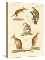 Strange Marsupials-null-Stretched Canvas