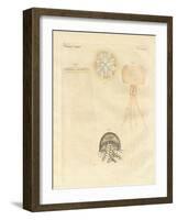 Strange Medusas-null-Framed Giclee Print