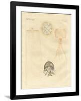 Strange Medusas-null-Framed Giclee Print