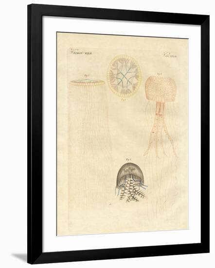 Strange Medusas-null-Framed Giclee Print