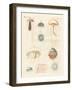 Strange Medusas-null-Framed Giclee Print