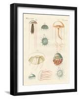 Strange Medusas-null-Framed Giclee Print