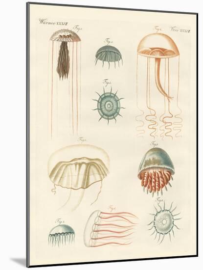Strange Medusas-null-Mounted Giclee Print