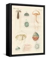 Strange Medusas-null-Framed Stretched Canvas