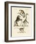 Strange Monkeys-null-Framed Giclee Print