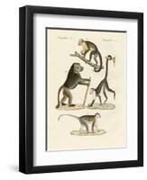 Strange Monkeys-null-Framed Giclee Print